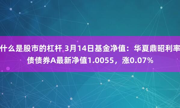 什么是股市的杠杆 3月14日基金净值：华夏鼎昭利率债债券A最新净值1.0055，涨0.07%