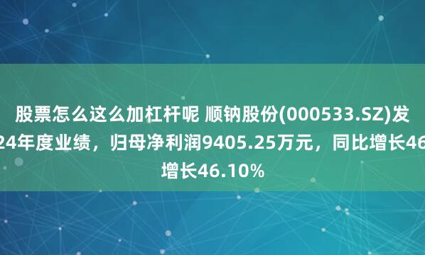股票怎么这么加杠杆呢 顺钠股份(000533.SZ)发布2024年度业绩，归母净利润9405.25万元，同比增长46.10%