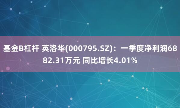 基金B杠杆 英洛华(000795.SZ)：一季度净利润6882.31万元 同比增长4.01%