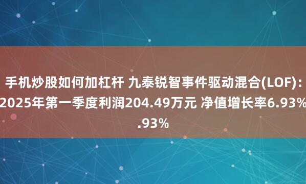 手机炒股如何加杠杆 九泰锐智事件驱动混合(LOF)：2025年第一季度利润204.49万元 净值增长率6.93%
