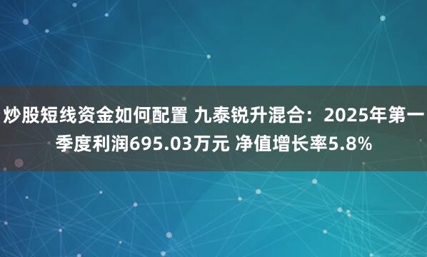 炒股短线资金如何配置 九泰锐升混合：2025年第一季度利润695.03万元 净值增长率5.8%