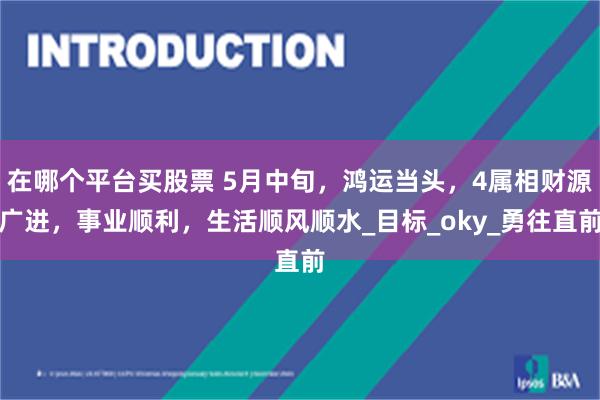 在哪个平台买股票 5月中旬，鸿运当头，4属相财源广进，事业顺利，生活顺风顺水_目标_oky_勇往直前