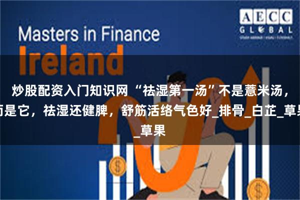 炒股配资入门知识网 “祛湿第一汤”不是薏米汤，而是它，祛湿还健脾，舒筋活络气色好_排骨_白芷_草果