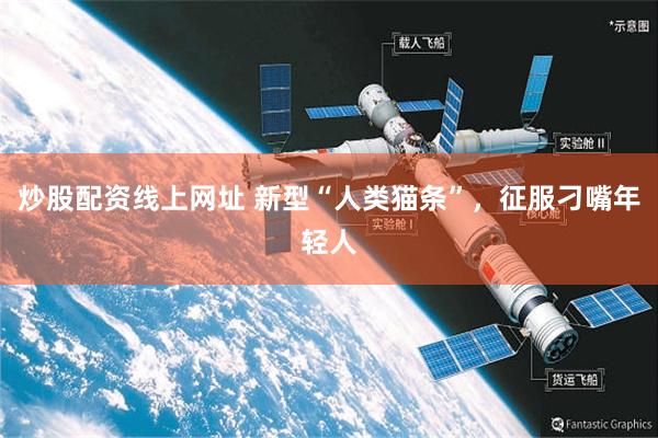 炒股配资线上网址 新型“人类猫条”，征服刁嘴年轻人