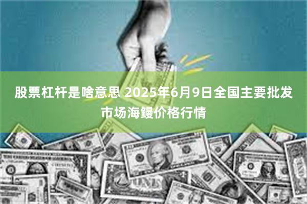 股票杠杆是啥意思 2025年6月9日全国主要批发市场海鳗价格行情