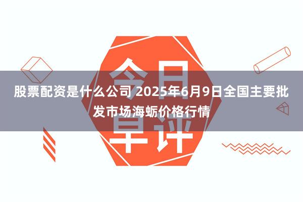 股票配资是什么公司 2025年6月9日全国主要批发市场海蛎价格行情